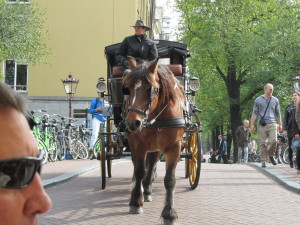 The horse definitely did not want to join us for lunch