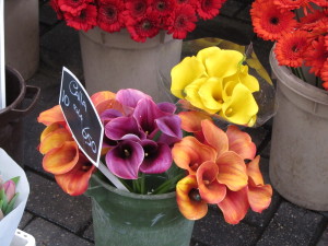 varied calla lilies at the flower market