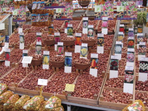 Tulip bulbs for sale at the Flower Market