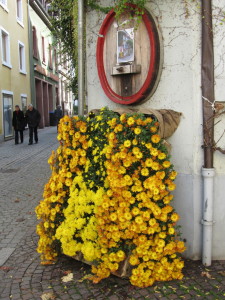 In Lahr, Germany, at the Chrysanthemum Festival, we found this pub with a wine barrel flowing mums