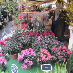 The market begins with a flower vendor!