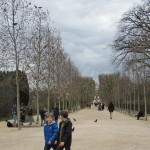 Allee at the Jardin des Plantes